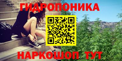 ПСИЛОЦИБИНОВЫЕ ГРИБЫ Краснознаменск