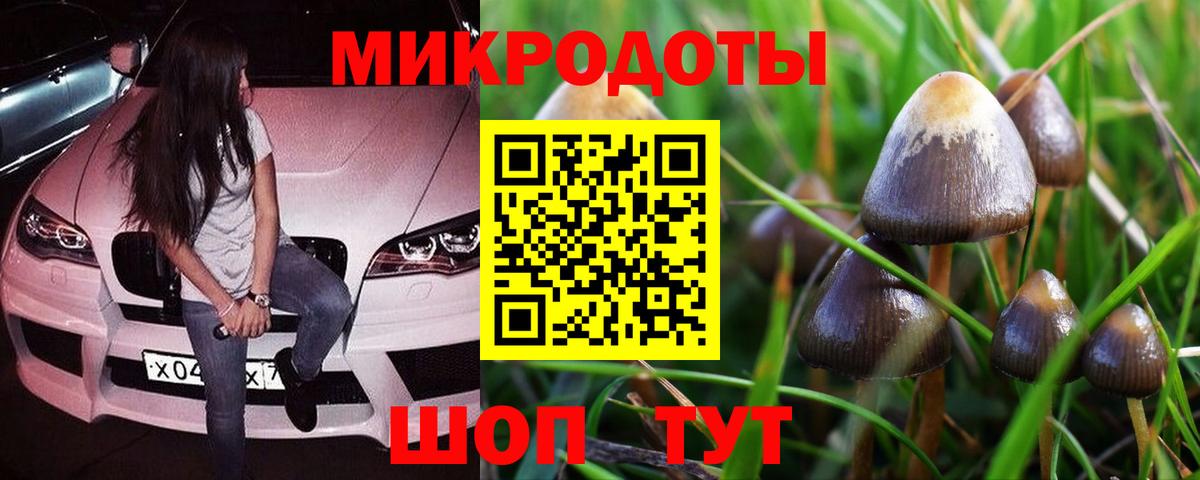Псилоцибиновые грибы мухоморы Избербаш