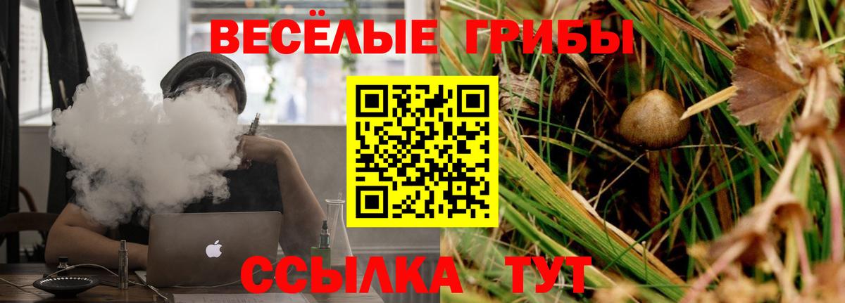 Галлюциногенные грибы ЛСД  Вход с VPN  Избербаш 